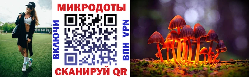 Галлюциногенные грибы Magic Shrooms  гидра как зайти  Абакан 